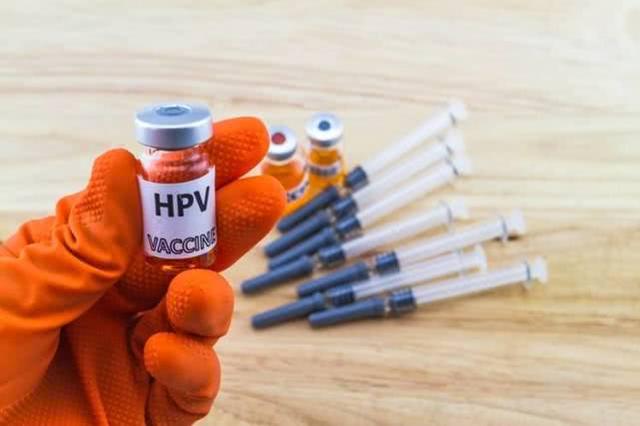 ͼhpv.jpg